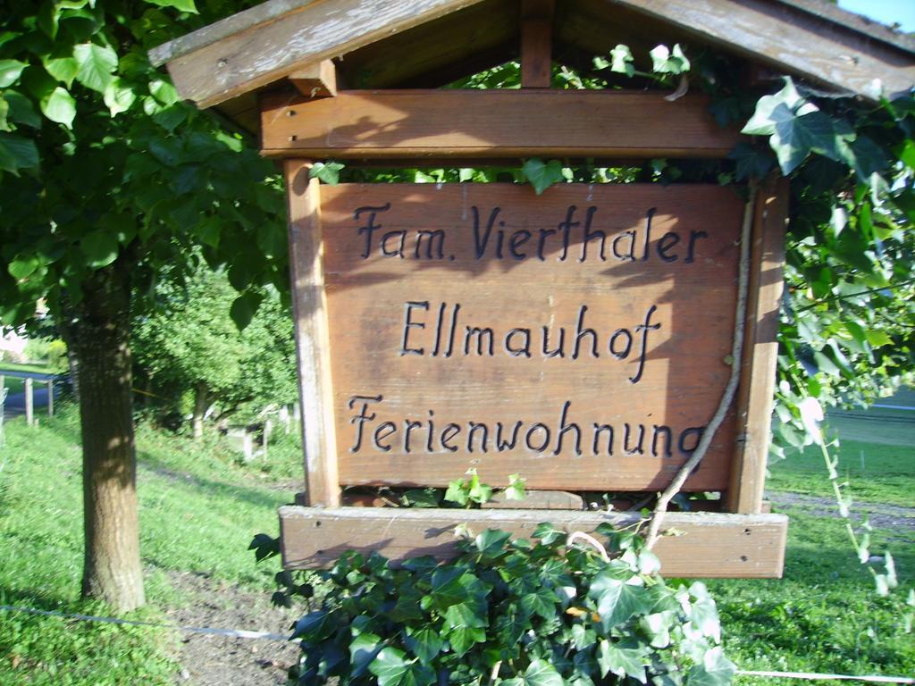 Willa Ellmauhof Pfarrwerfen Zewnętrze zdjęcie